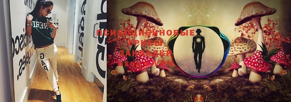 марки lsd Балахна