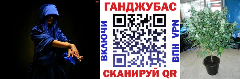 Бошки Шишки White Widow  Певек 